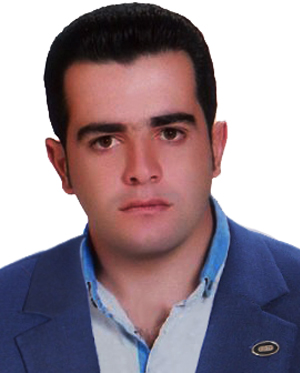 ملک نسب سعید